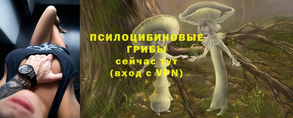 амф Белокуриха