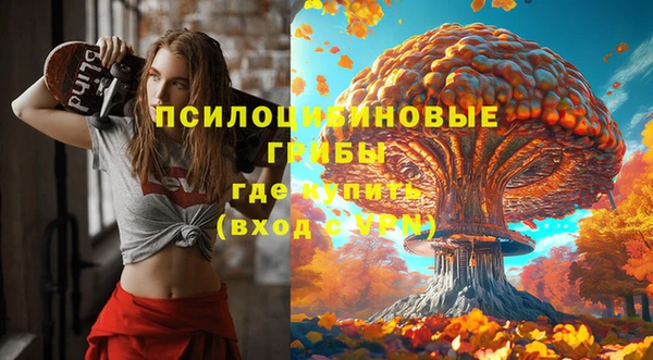 амф Белокуриха
